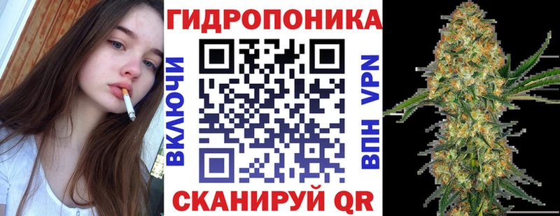 МАРИХУАНА конопля  даркнет сайт  kraken зеркало  Заозёрск 